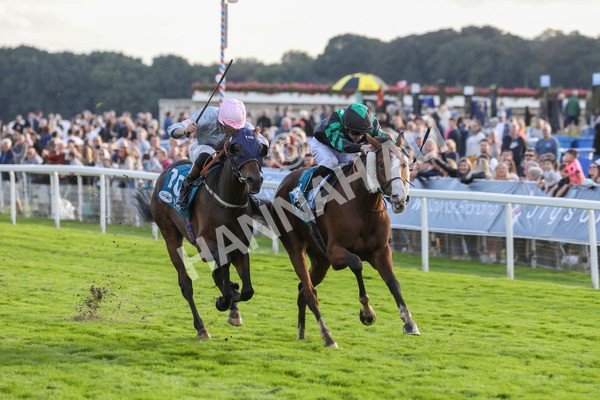 230923-Race 6-September Power-5438 - Race 6 4.55pm New To York Rio Brazilian Handicap