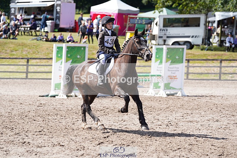 240824X-133120-27757 - 80cm Round 1 13.00 to 14.00