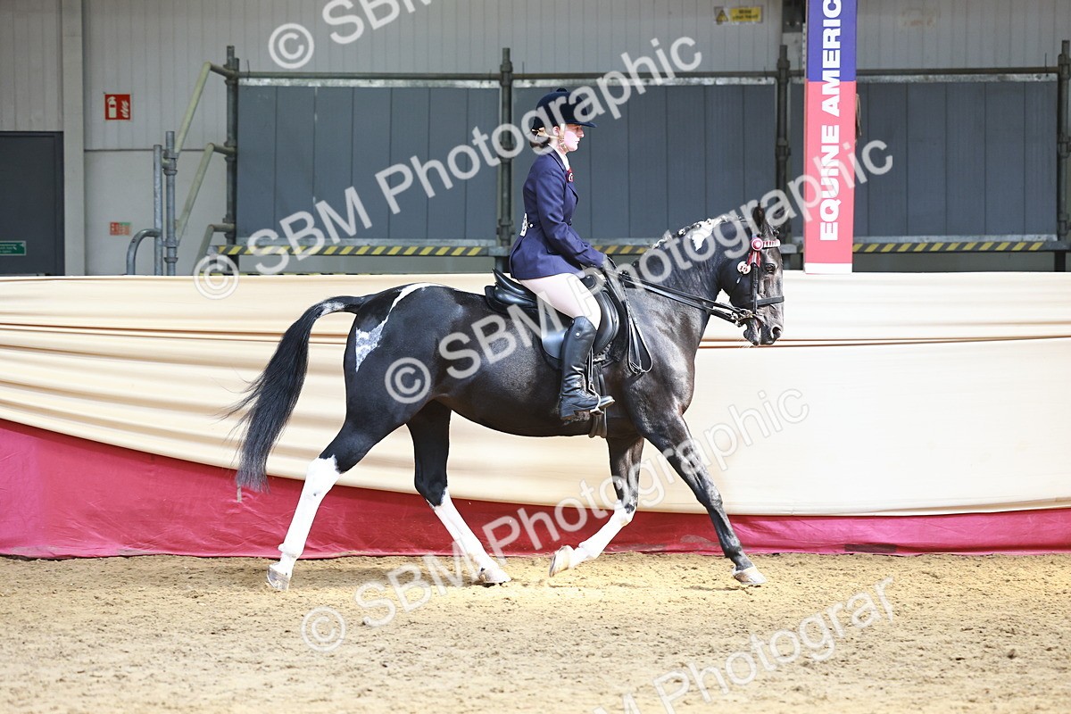 SBM_23292 - class 906 - Supreme Final - Ridden Pre Vet
