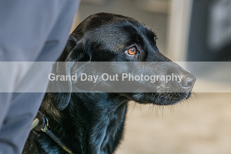 Clough Head-54 - Kong Clough Head Fell Race Saturday 18th January 2025