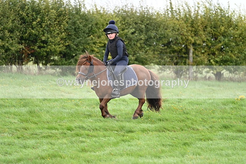 WJ7_7638 - Time 10:05 to 10:30  (3 cameras)