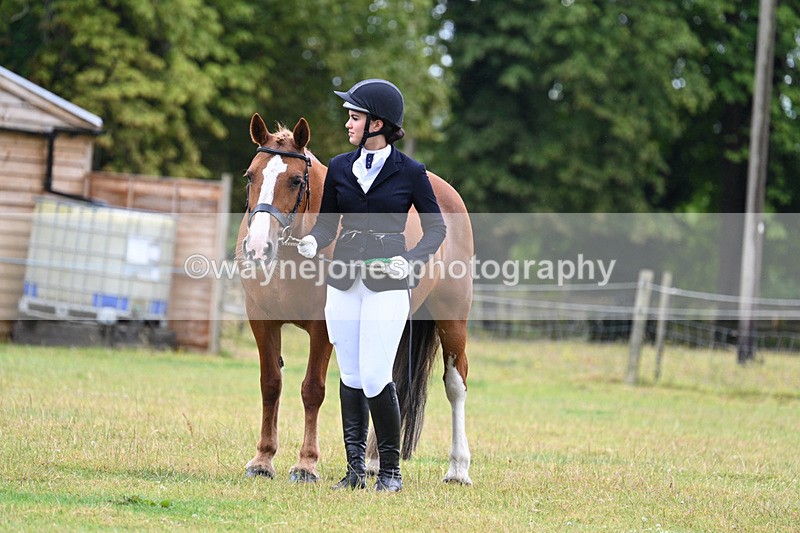 WJ7_6396 - Class 4a Prettiest Mare over 14hh