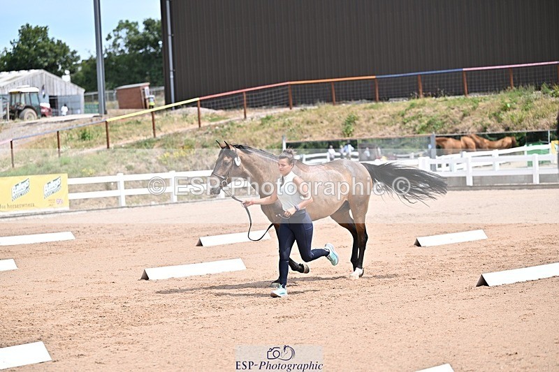 250716-125554-00228 - Trot Up 12.30 to 1.30