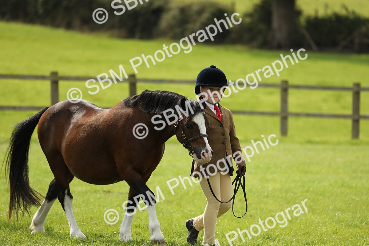 SBM_67695 - S39 - Junior Handler 8  Years & Under
