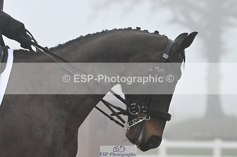 240217A-151042-03818 - 177-Julia.Suarez-Lauries.Next.Crusade