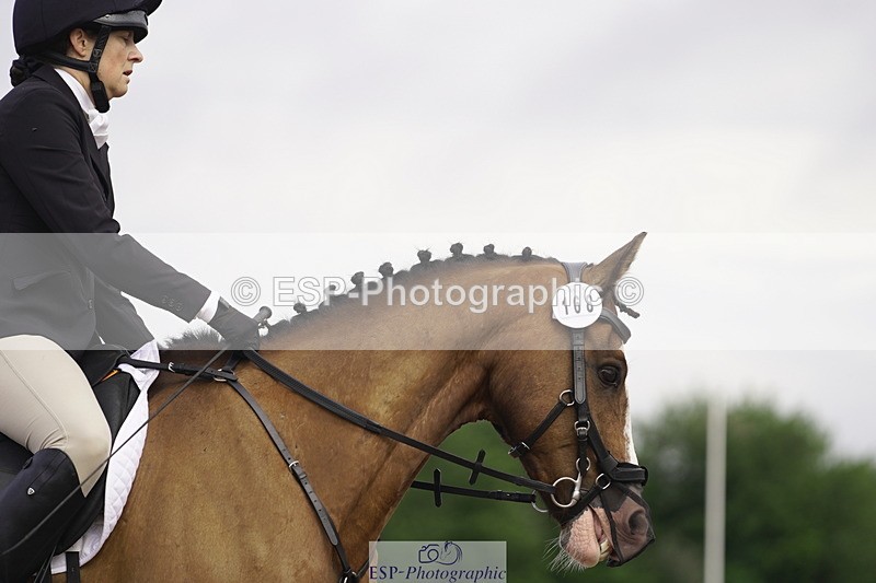 230708A-091022-00059 - Intro C