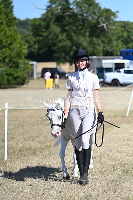 WJ7_1781 - Class 43 Best Six Legs (In hand)