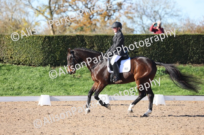 20251102-0509 - Class 3 - Novice 5