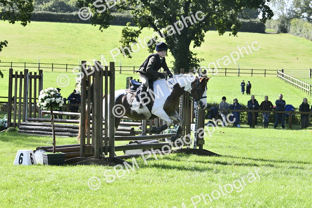 SBM_38185 - S31 - Novice & Newcomer Working Hunter Pony