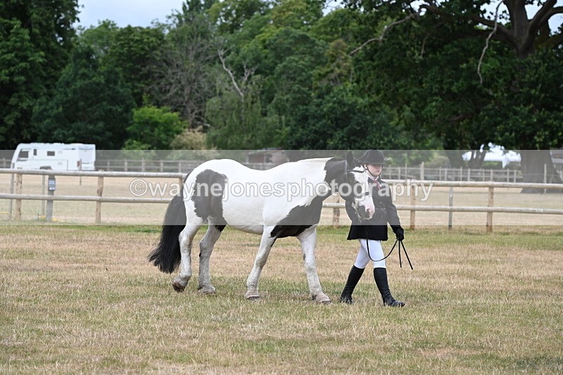 WJ6_4585 - Class 10 Coloured In-hand