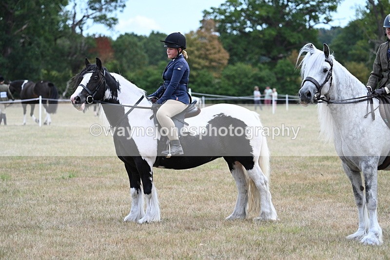WJ7_5500 - Class 12 Ridden Cob