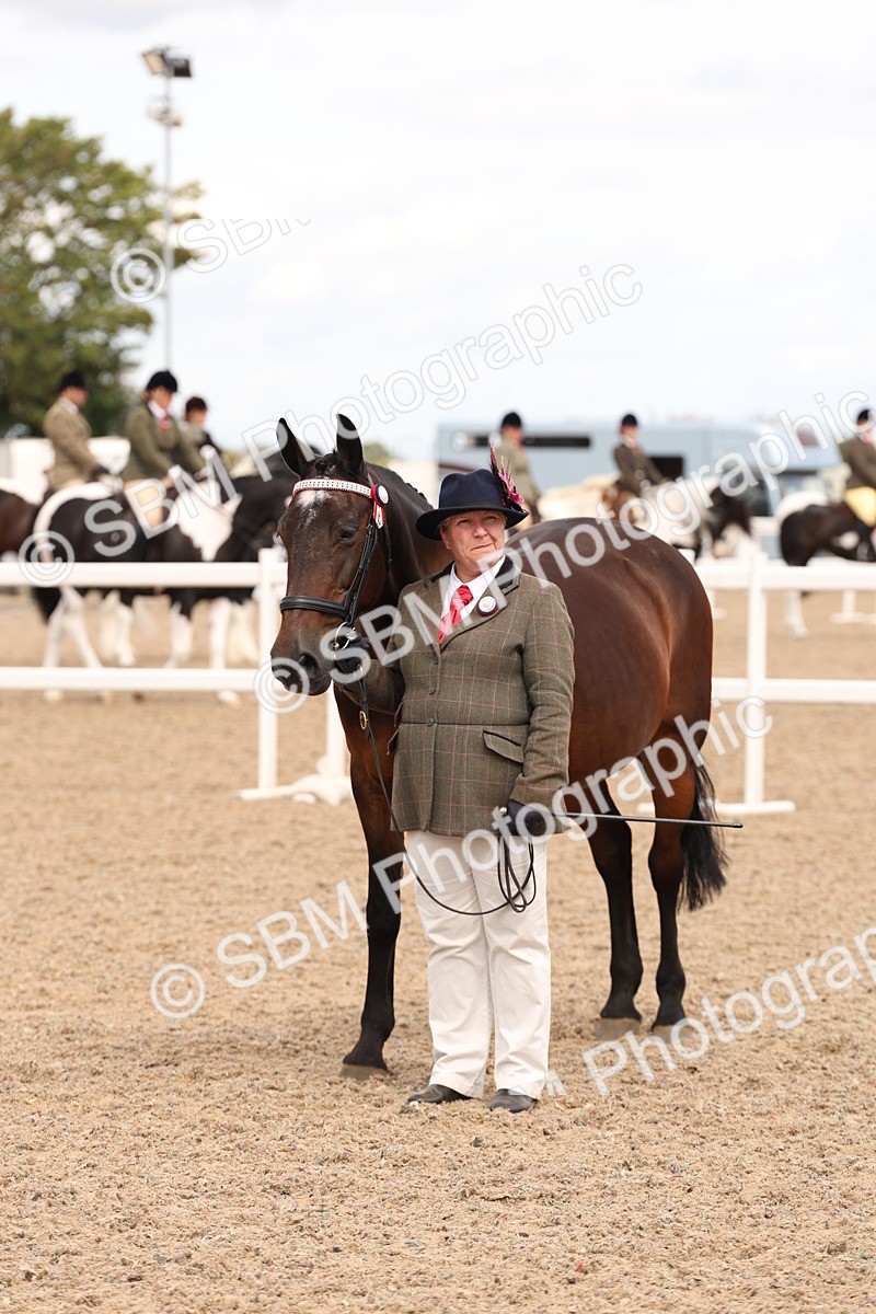 SBM_14687 - Class 208 - IH Veteran Horse
