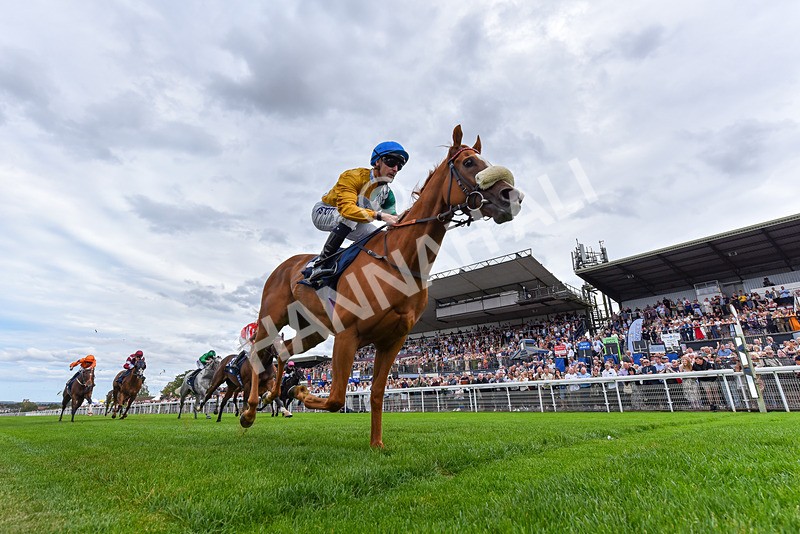 300825-Race 2-Shagraan-2-2 - Race 2