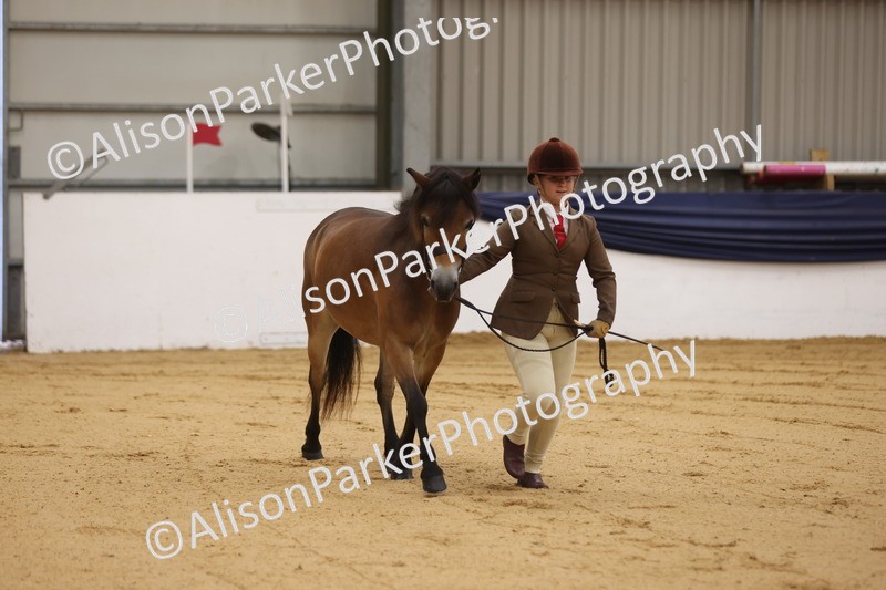 20260913-0091 - Class 121 - Young Handler 5-16