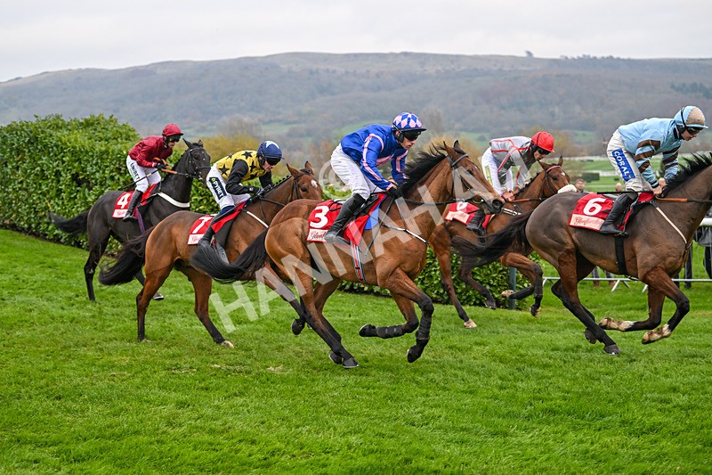 151124-Race 4-Busselton-8175 - Race 4