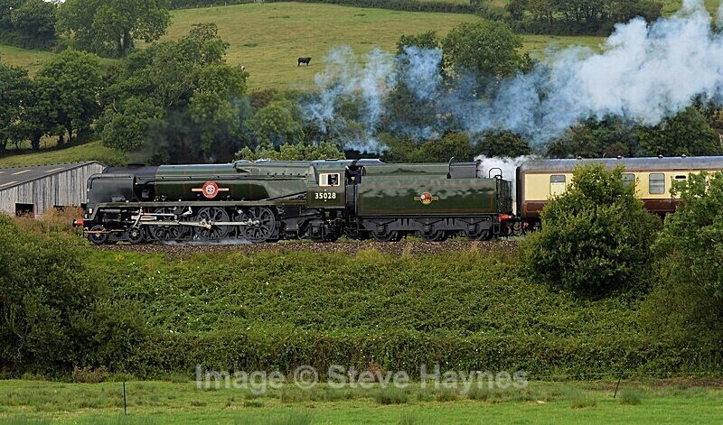 10th Aug 2019 - Axminster, Devon