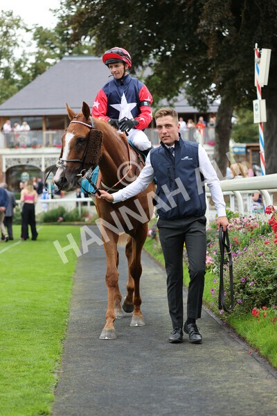 yr04092022r5-49 - Race 5 4.05pm Little Green Rascals Children's Nurseries Stakes