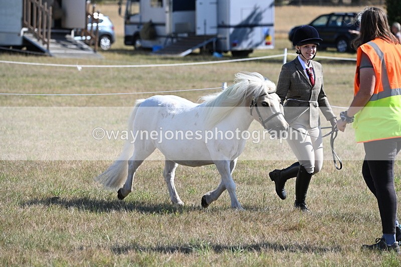 WJ6_4190 - Class 16 Condition & Turn Out