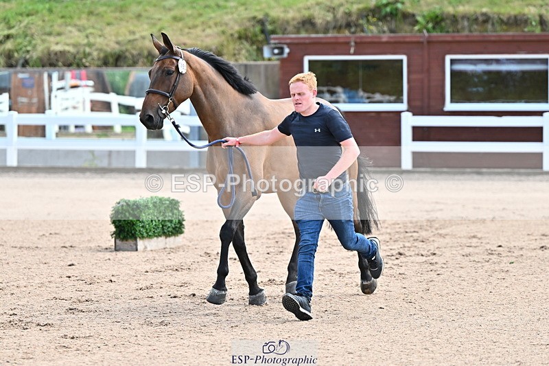 240718A-105237-00927 - Trot Up 11am to 12pm