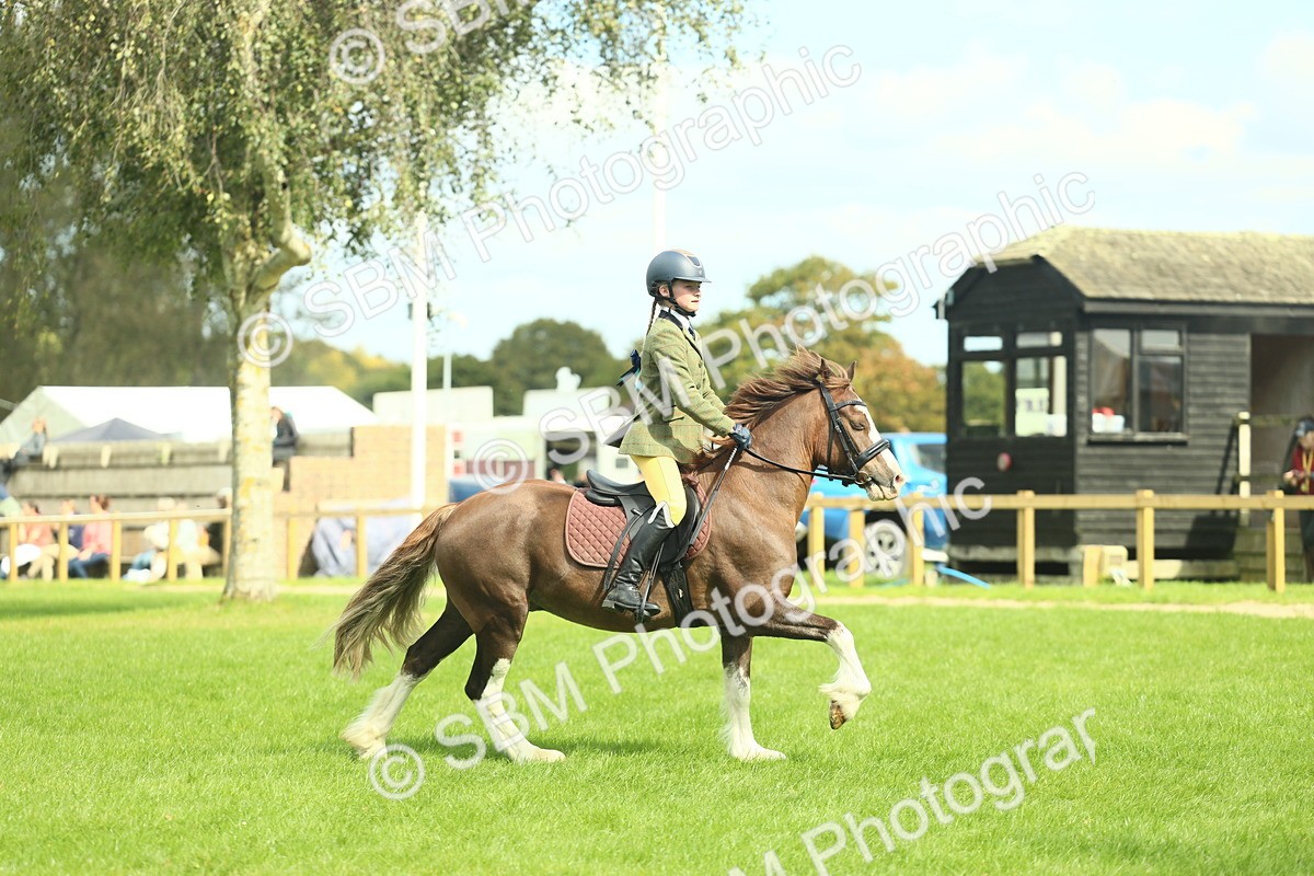 SBM_42834 - S30 - M&M Working hunter Pony