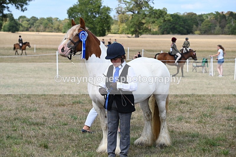 WJ6_6704 - Class 20 In-hand Cob