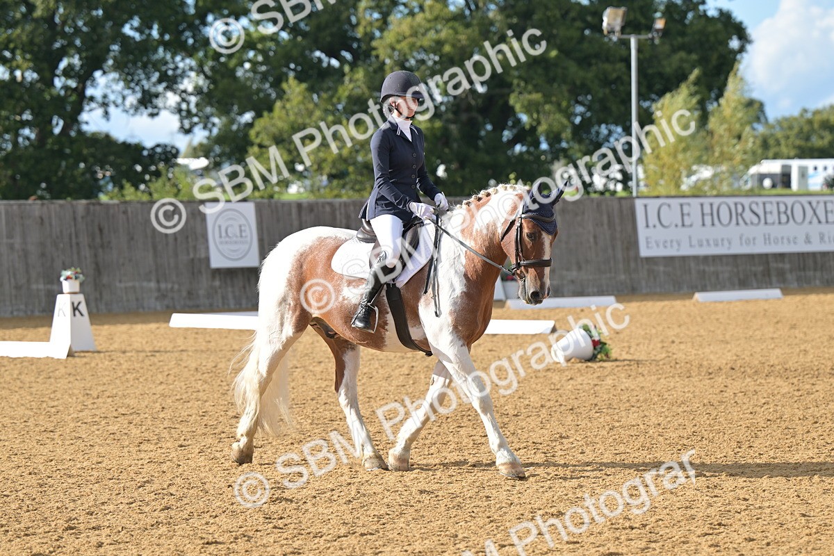 SBM_12922 - D3 - Small Tour Championship Intro 3