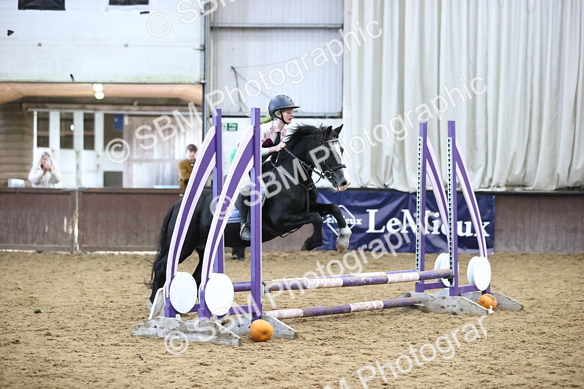 SBM_001648 - Class 3 - Horse & Hound 60cm