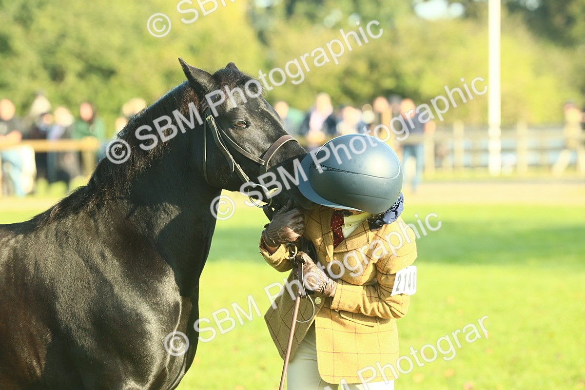 SBM_58453 - S37 - Starters In Hand Showing