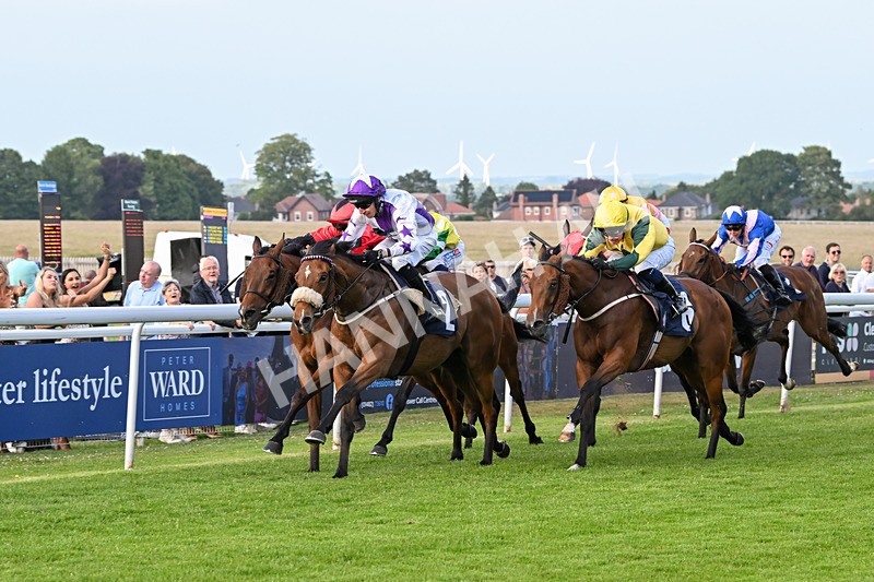 170625-Race 3-Dumfries-6423 - Race 3