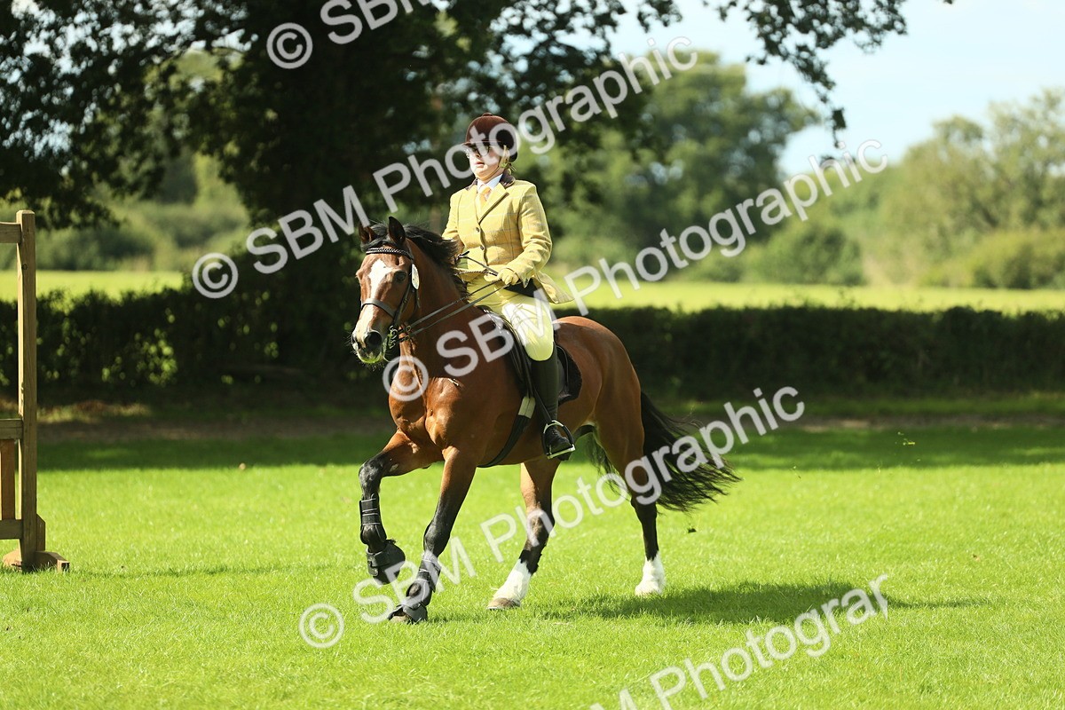SBM_42974 - S30 - M&M Working hunter Pony