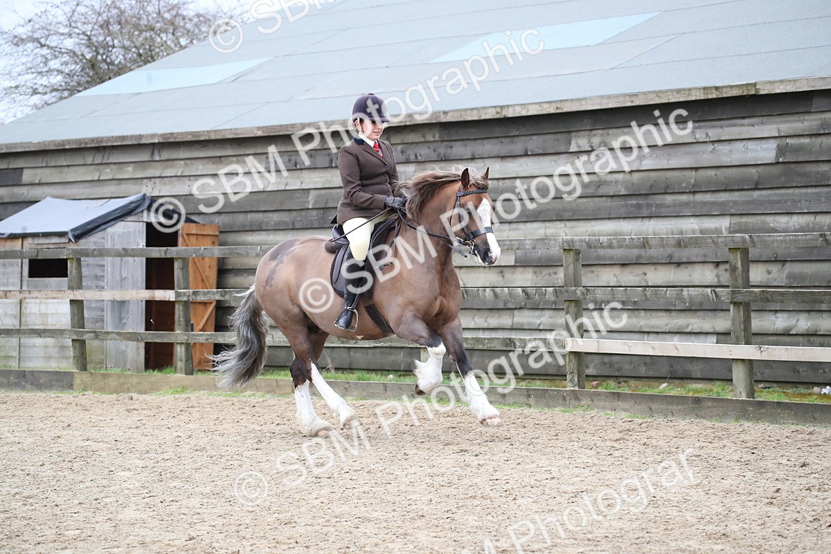 SBM_006251 - Class 10-13 - RIHS Small Large Breeds