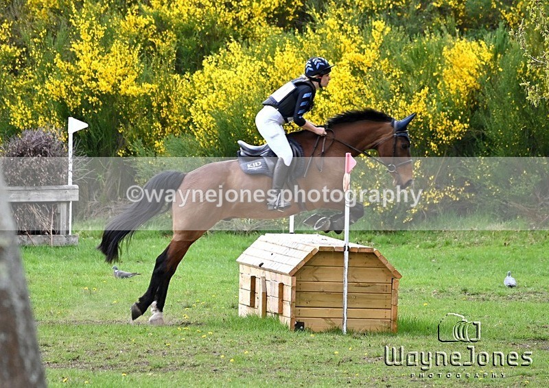 WJ6_0584 - Edited examples