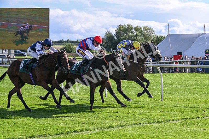 080926-Race 4-Kings Merchant-2518 - Race 4 3.36pm Fifth Regiment Royal Artillery Handicap (Div II)