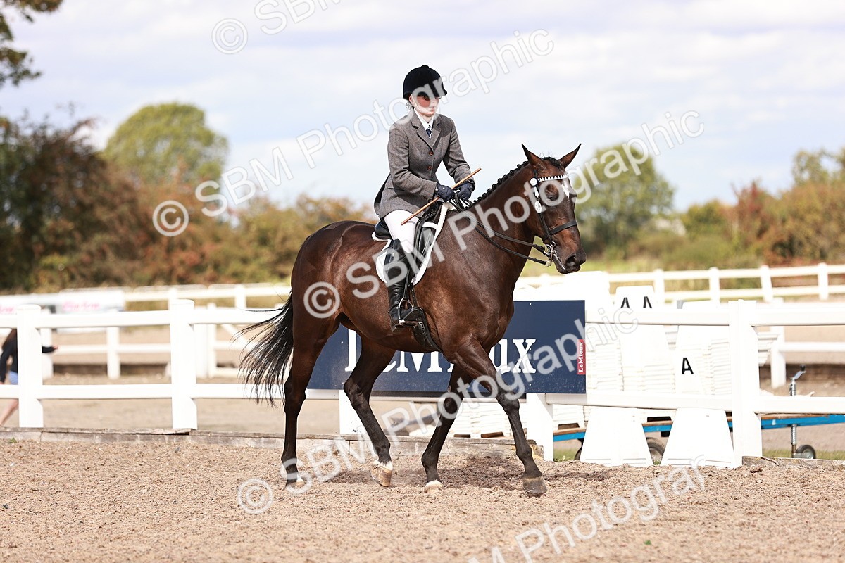 SBM_14421 - Class 410 - Grassroots Ridden - Horse