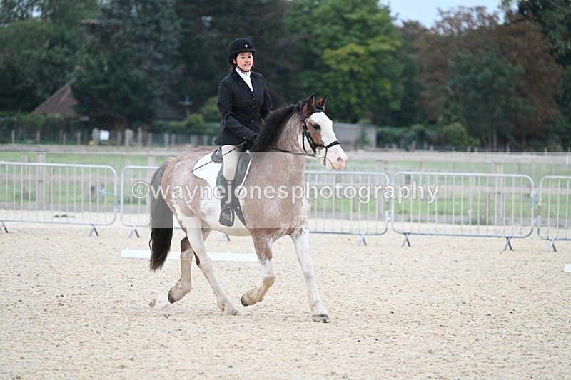 WJ7_2260 - Class 2 & Champs