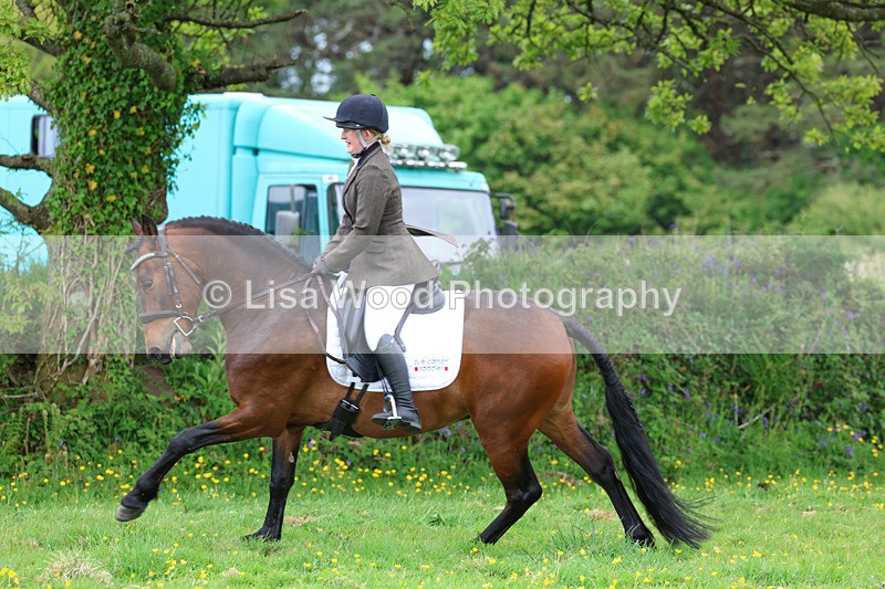 3E7A2005 - Class 10: Ridden Sports Horse