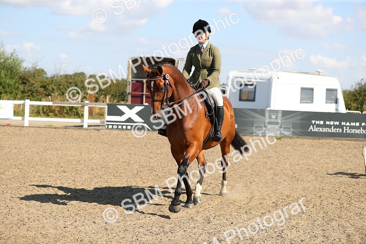 SBM_02354 - Class 43 Ridden Competition Horse/Pony