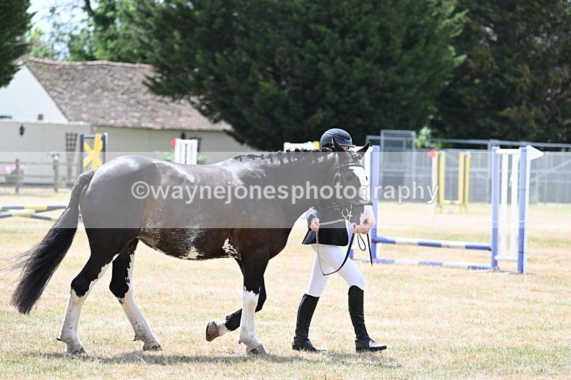 WJ7_1931 - Class 4a Prettiest Mare 14.2hh and over hand