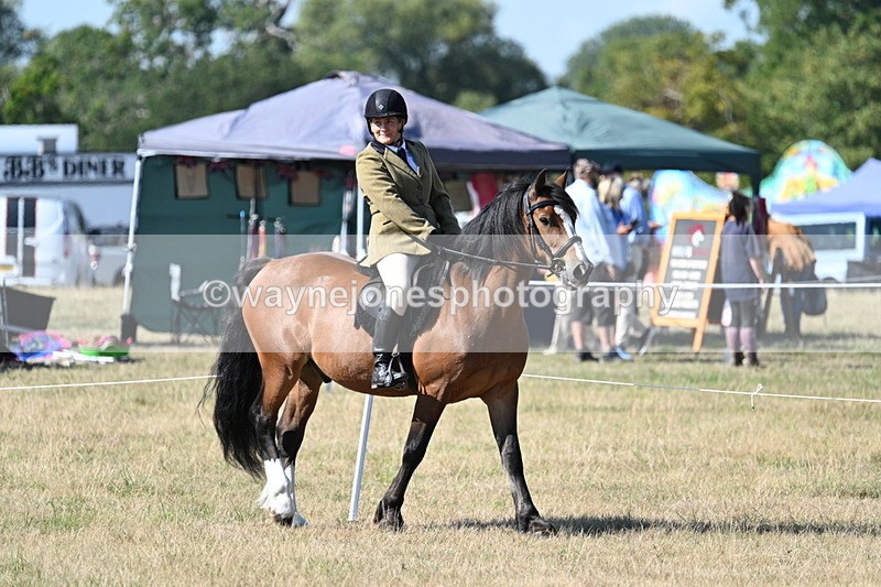 WJ7_3574 - Class 9 Mountain & Moorland Ridden