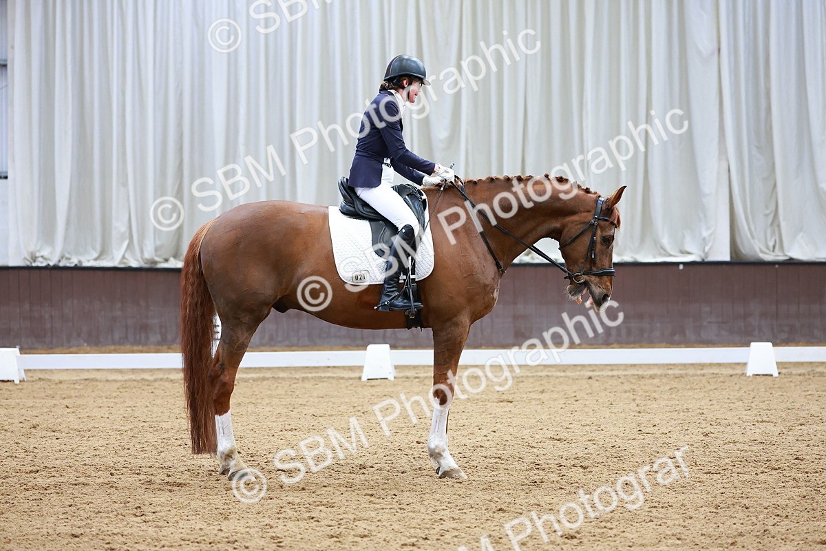 SBM_001461 - Class 5 - Novice 5