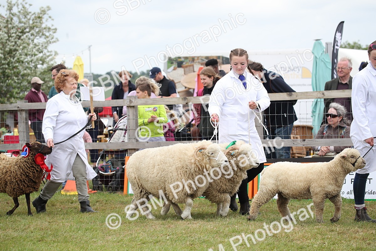 SBM_07803 - Grand Parade