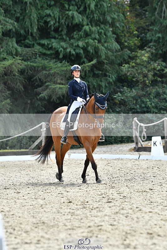 260802A-153025-07420 - Intermediate Bronze