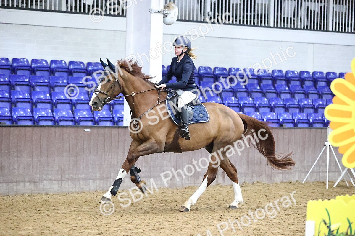 SBM_002842 - Class 14 - Senior British Novice - 90cm