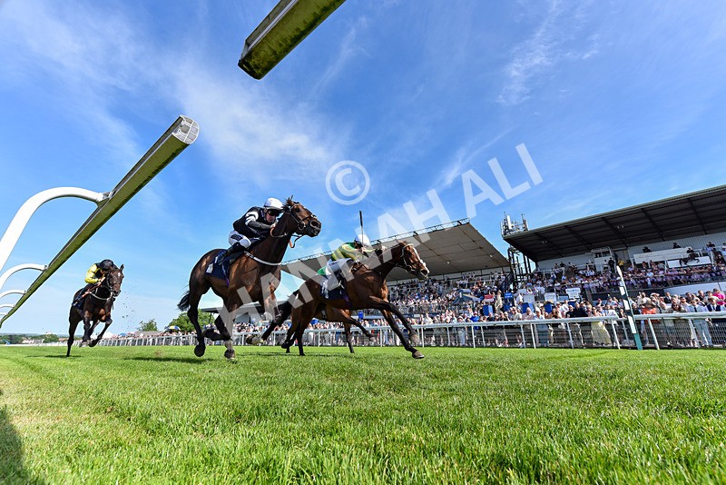 300526-Race 6-Vietnorm-9298 - Race 6 16.32pm ICS Cleaning Services Handicap
