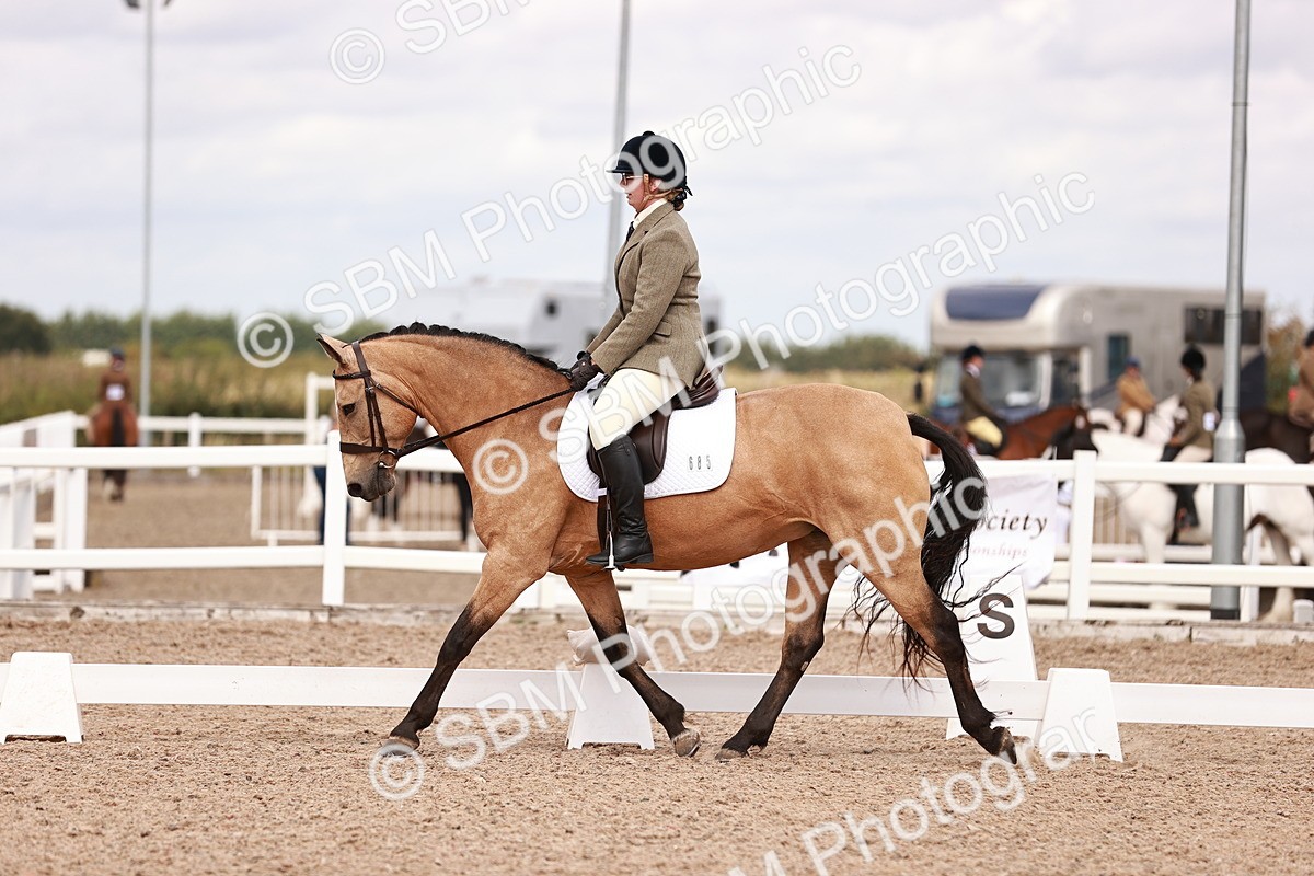 SBM_06327 - Class 37 - Novice 5