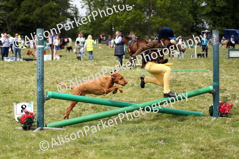 20250517-2914 - Class 25 - Horse & Hound