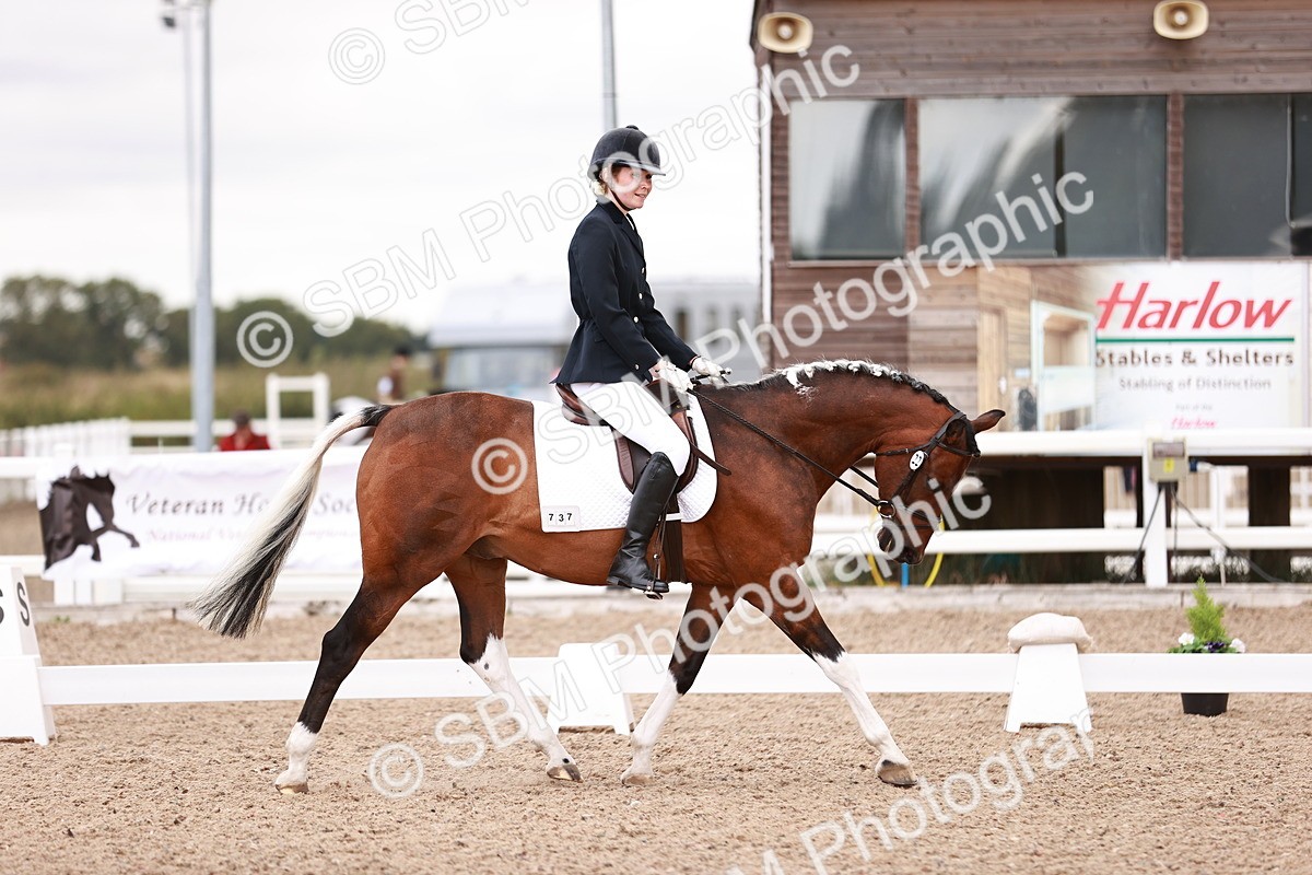 SBM_04006 - Class 36 - Prelim 5