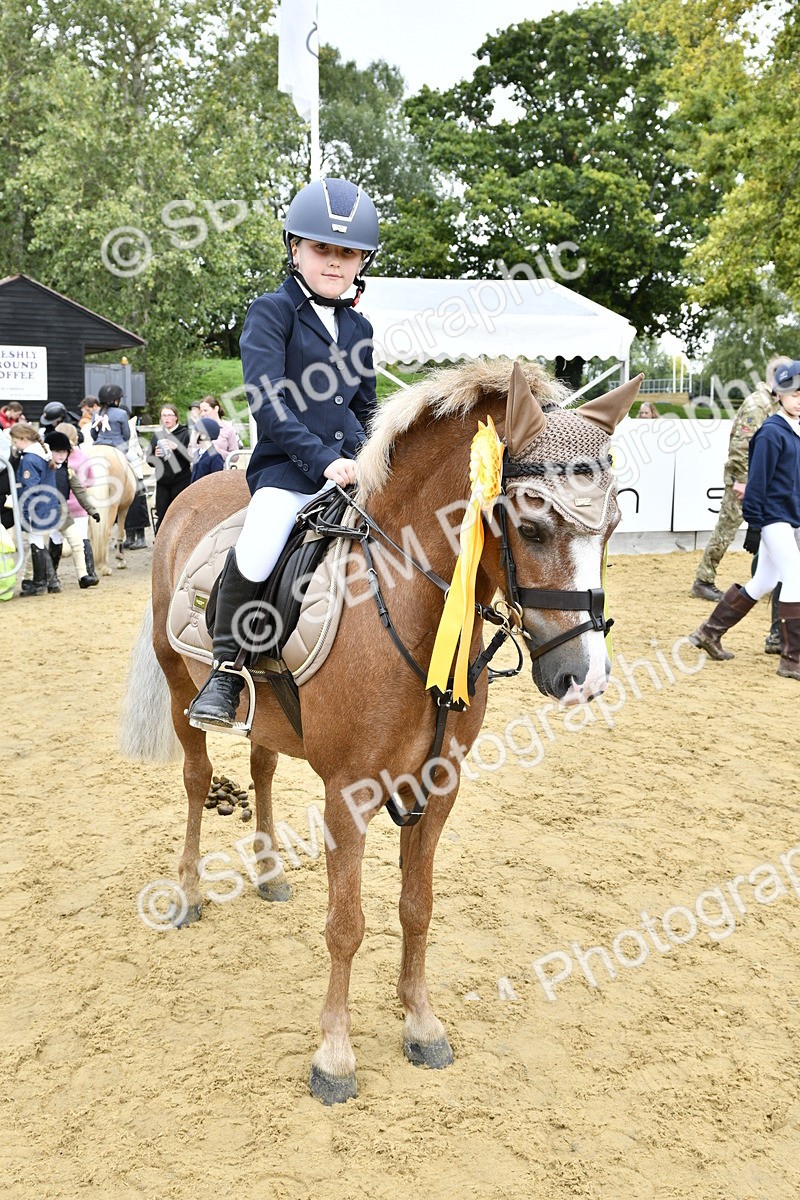 SBM_66260 - J2a mini Tour Junior Pony 30cm Championship