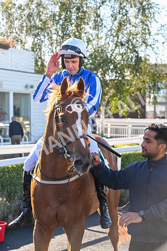 300926-Race 2-Gold Key-6067 - Race 2 2.32pm EBF Maiden Stakes