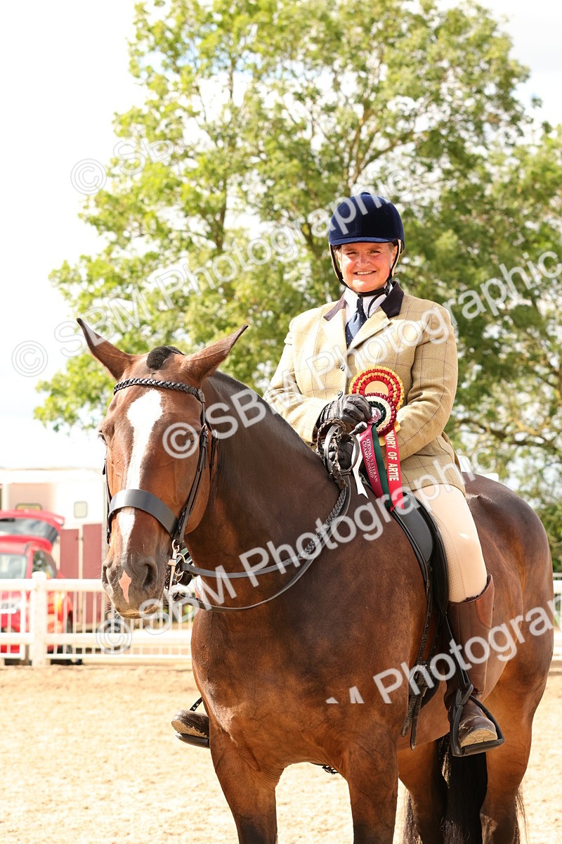 SBM_15615 - Class 214 - Ridden Show Cob